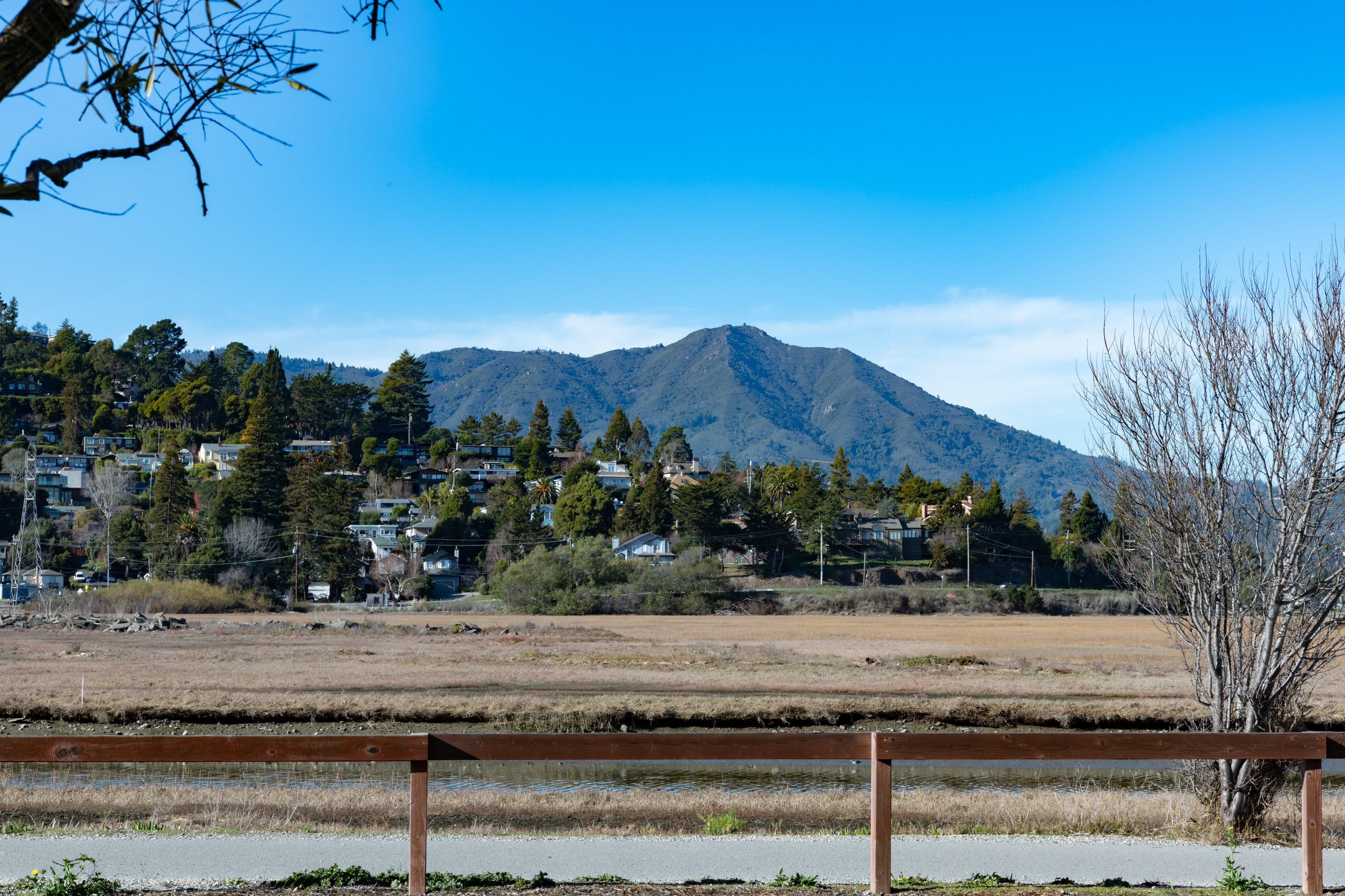 Holiday Inn Express Mill Valley San Francisco Area By Ihg Exterior foto