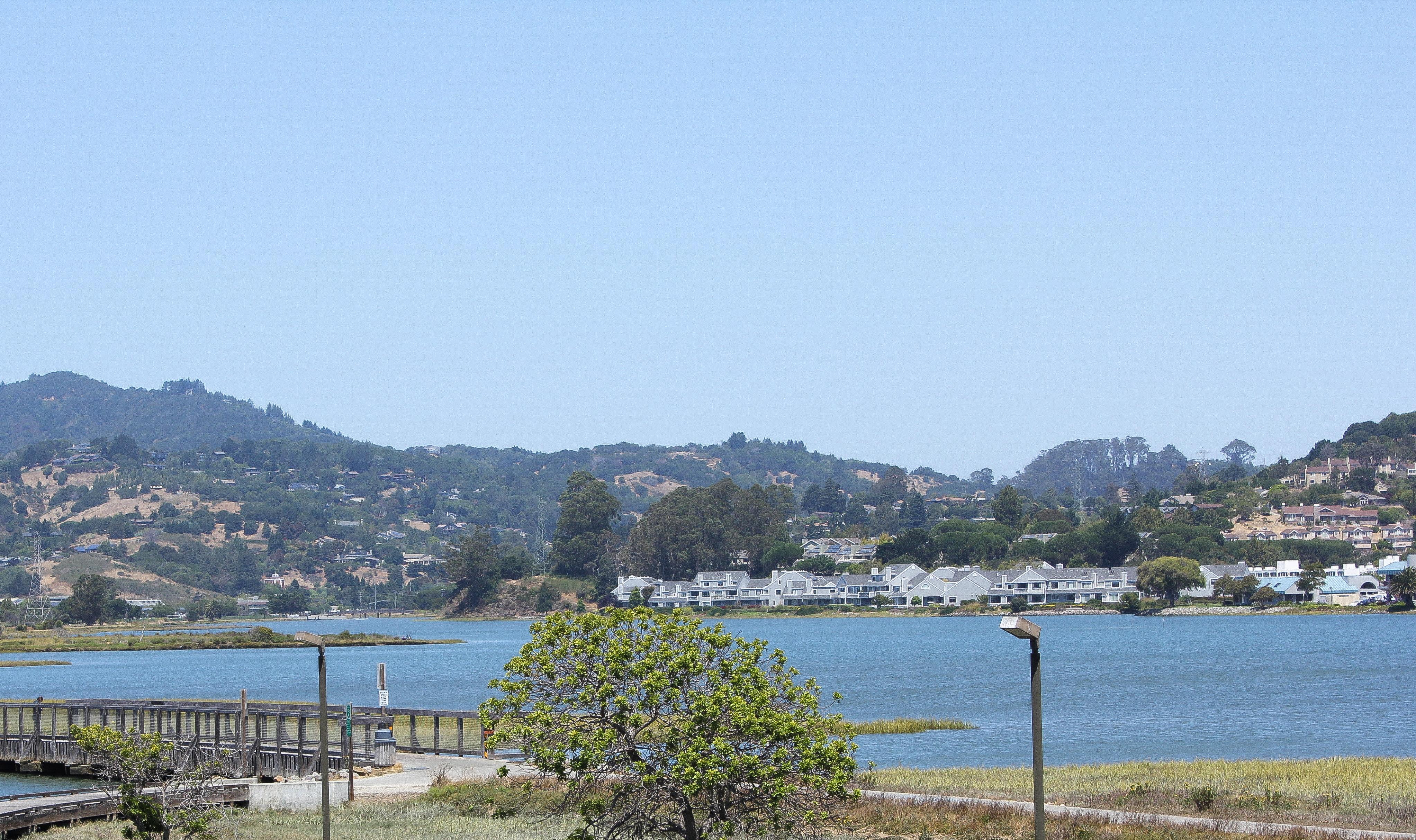 Holiday Inn Express Mill Valley San Francisco Area By Ihg Exterior foto